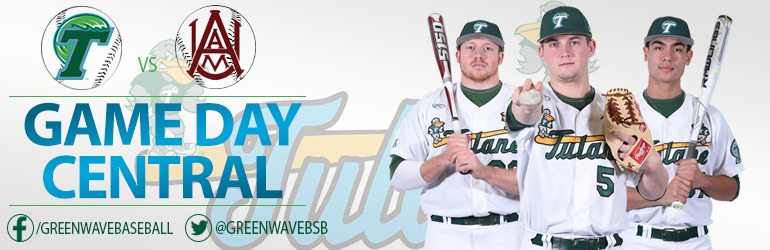 Tulane Baseball banner