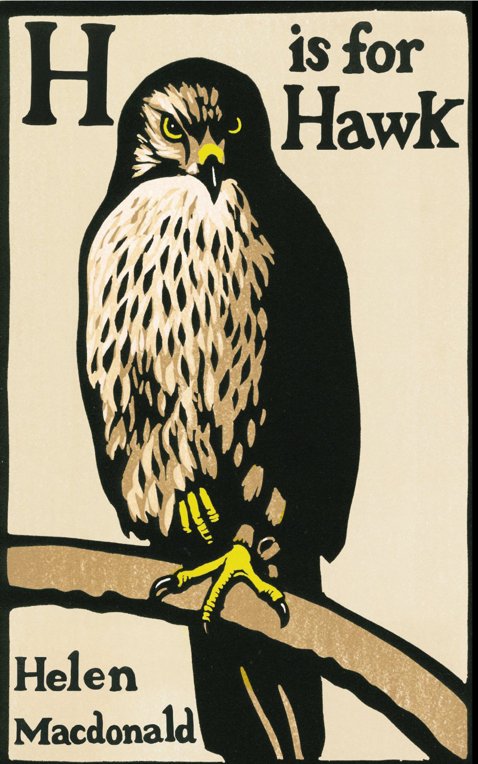 Image result for h is for hawk cover
