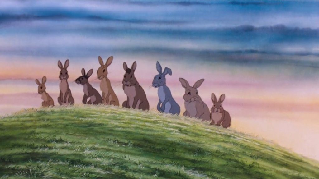 Watership Down rabbits photo